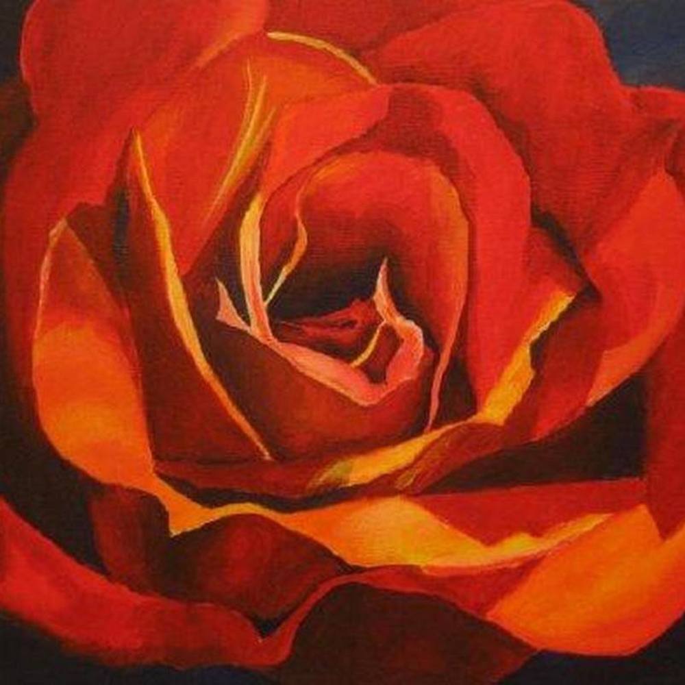 Meet your Posher, Anne